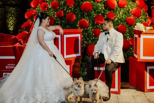 La boda de Giselle y Eduardo 1