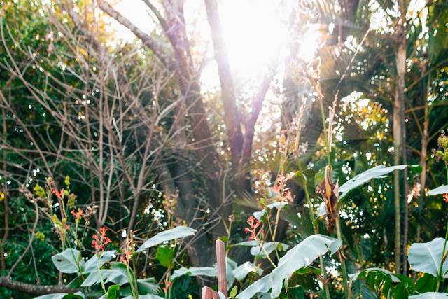 La boda de Paulina y Santiago 2