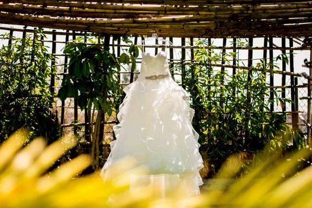 La boda de Jessica y Ivan 2