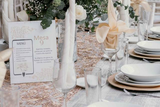 La boda de Alejandra y Alejandro 2