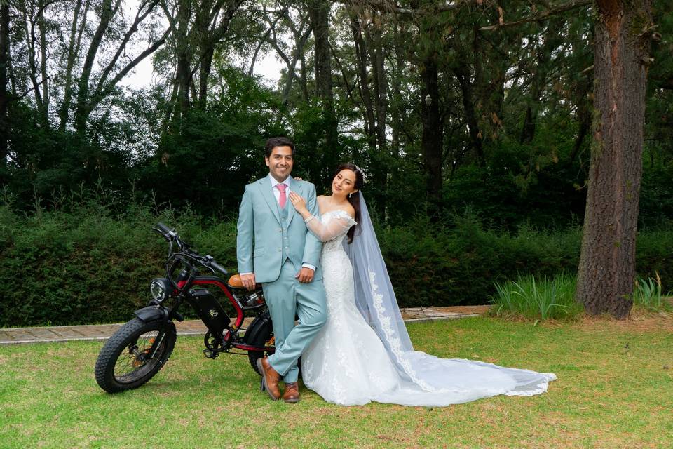 Ardea Photography & Films