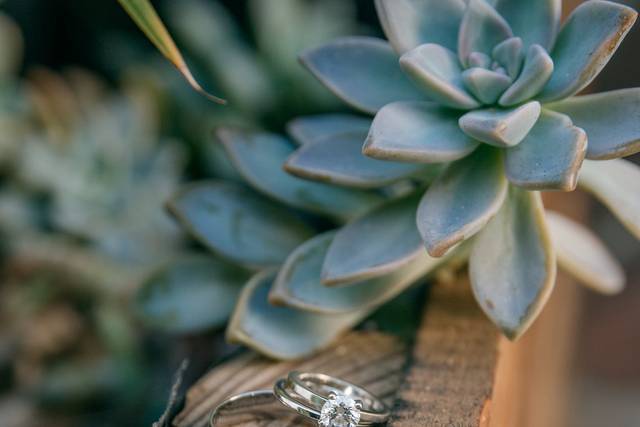 La boda de Ana y Ernes 2