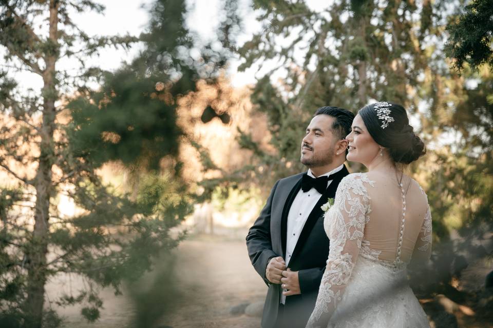 La boda de Ana y Ernes