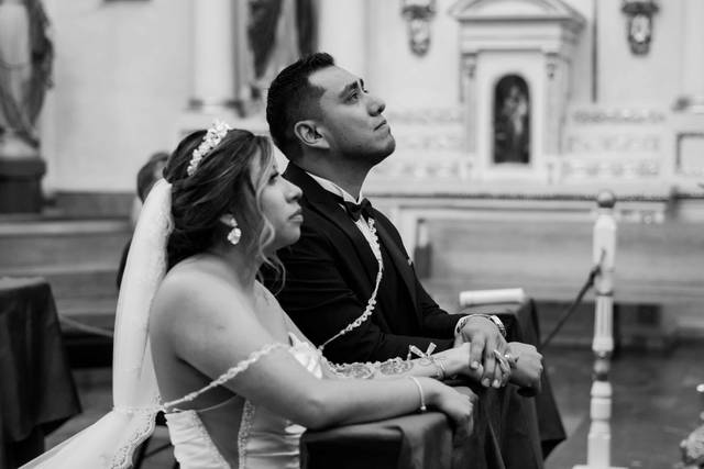 Ardea Photography & Films 2