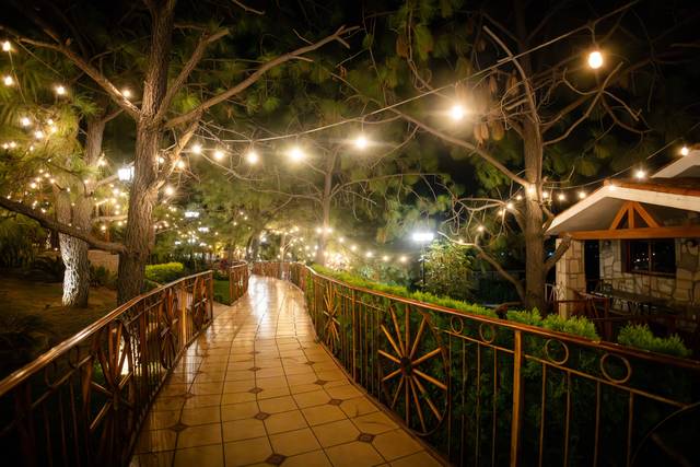 La boda de Andrea y Omar 1