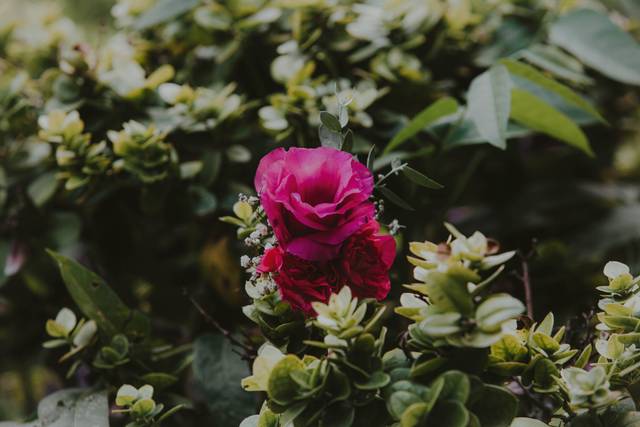 La boda de Glorise y Anthony 2