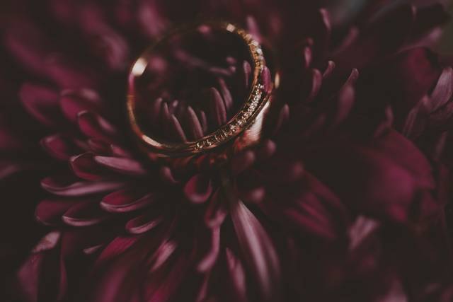 La boda de Priscilla y Arturo 2