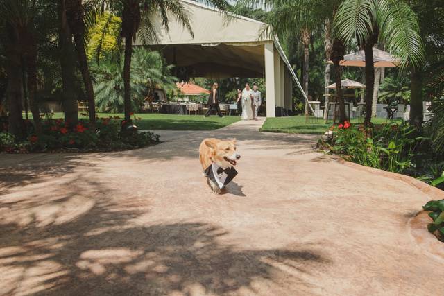 La boda de Alejandra Melina y Alberto 2