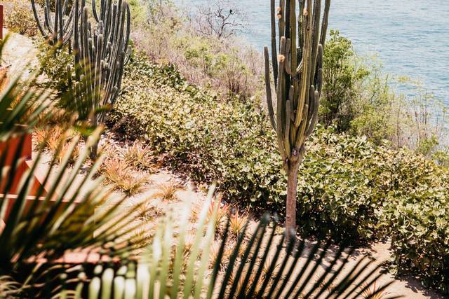 La boda de Paty y Sergio 2