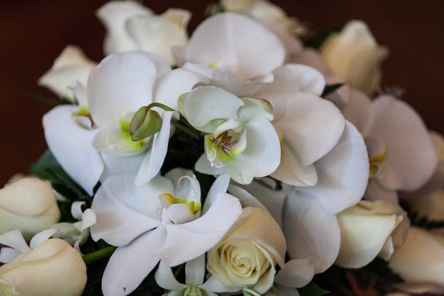 La boda de Nataly y César 3