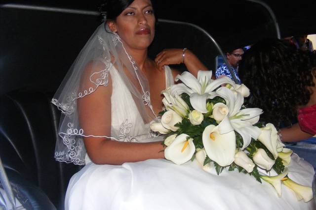La boda de Erika y Ariel 1