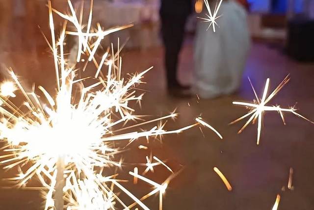 La boda de Dafne  y Mizar  3