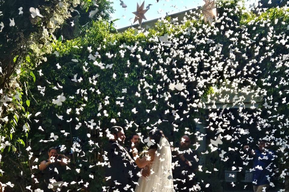 La boda de Octavio y Melina 