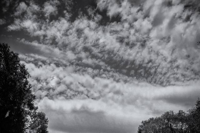 La boda de Daria y Israel 2