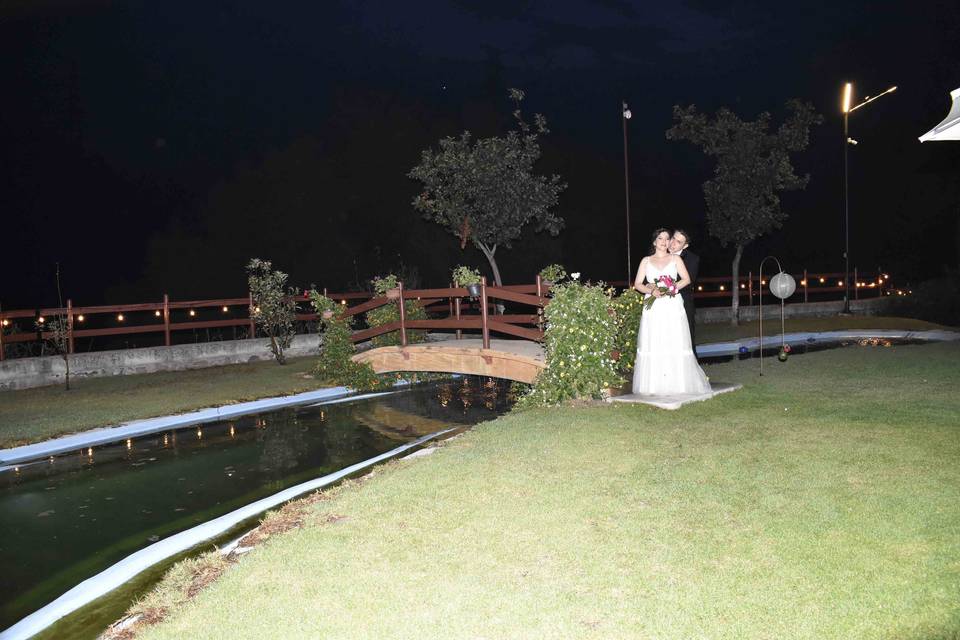 La boda de Alejandra   y Mario  