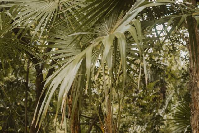 La boda de Wendy y Javier 1