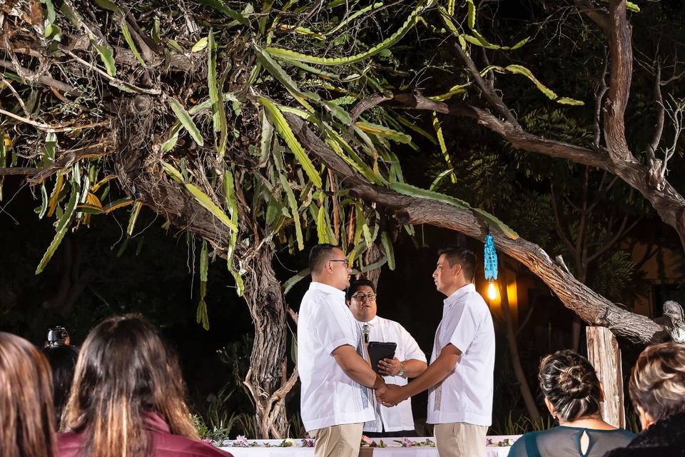 La boda de Jonathan y Cesar