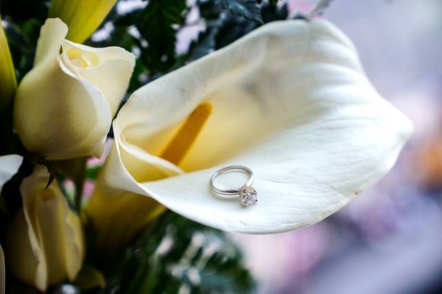 La boda de Andrea y Alejandro 3