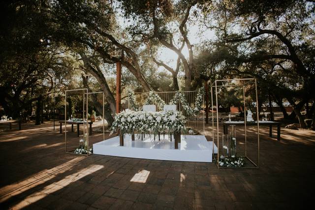 La boda de Dulce y Aldo  1