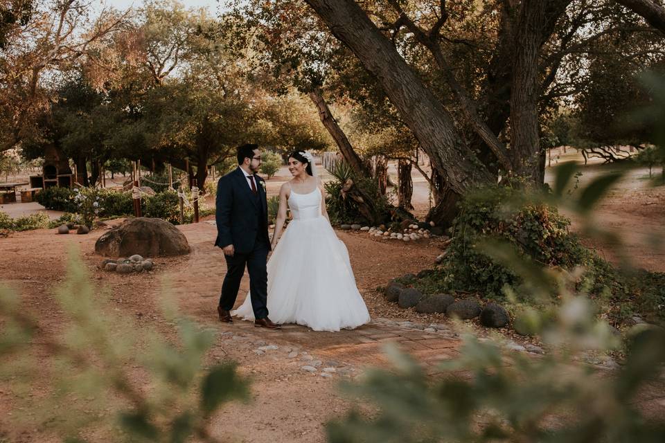 La boda de Dulce y Aldo 