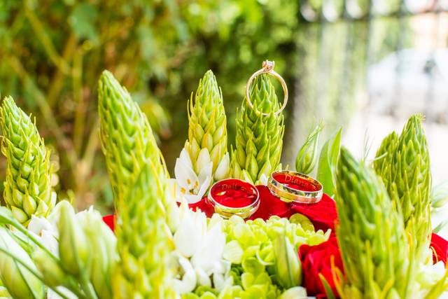 La boda de Diana y Dali 1