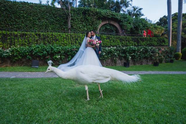 La boda de Alondra y Ariel 1
