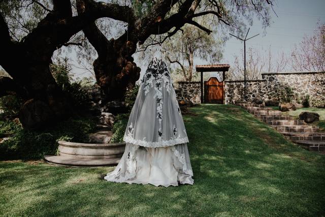 La boda de Berenice y Luis 2
