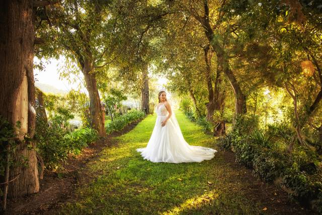 La boda de Marisol y Sergio 2