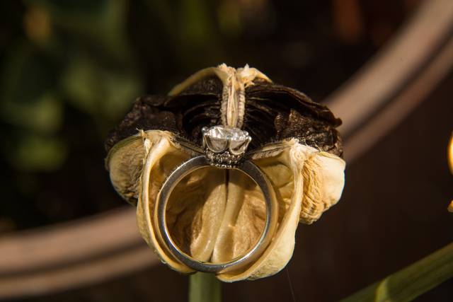 La boda de Aline y Eduardo 3