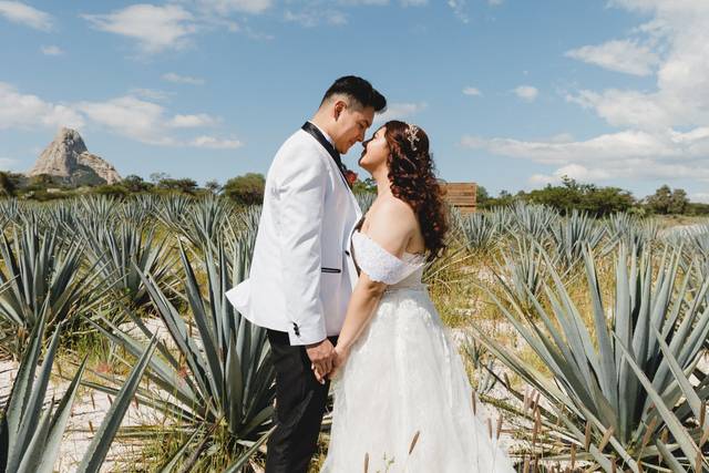 La boda de Shari  y Diego  1