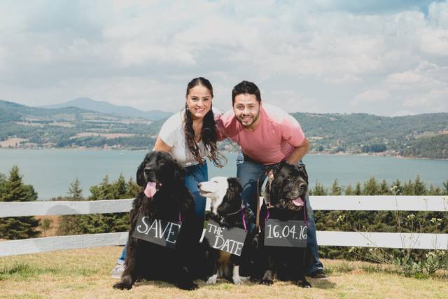 La boda de Andrea y Cristian 3