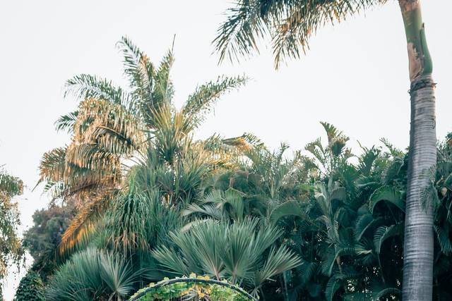 La boda de Francisco y Karen 1