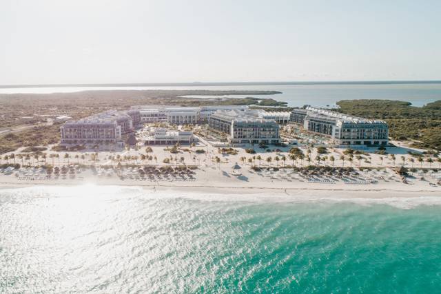 La boda de Allie y Kristofer 2