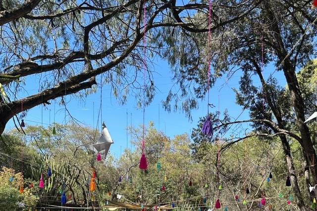 La boda de Germán y Fernando 3