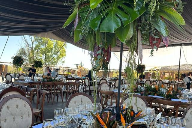 La boda de Germán y Fernando 1