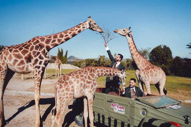 La boda de Germán y Fernando 2