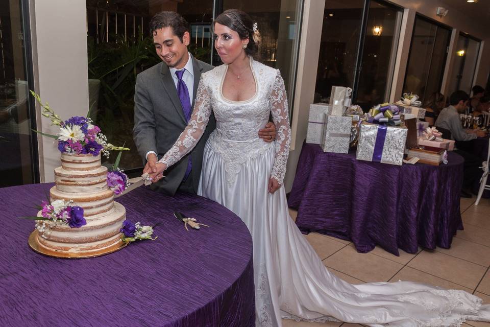 La boda de Ilse y Alex