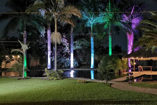 La boda de Daniela  y Christopher  3