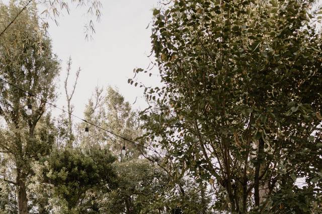 La boda de Inés y Joel 1