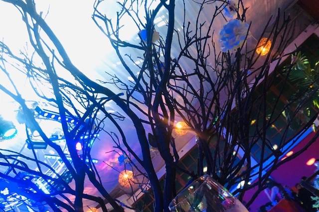 La boda de Armando  y Alejandra  1