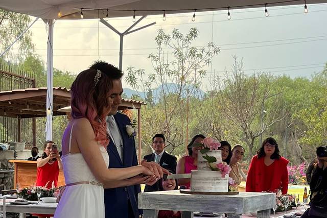 La boda de Jesús  y Arely  3