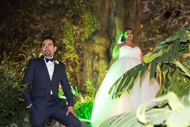 Centro Veracruzano Coyoacán 1