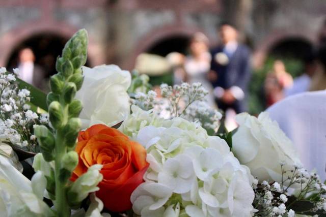 La boda de Fabiola y Edgar 3
