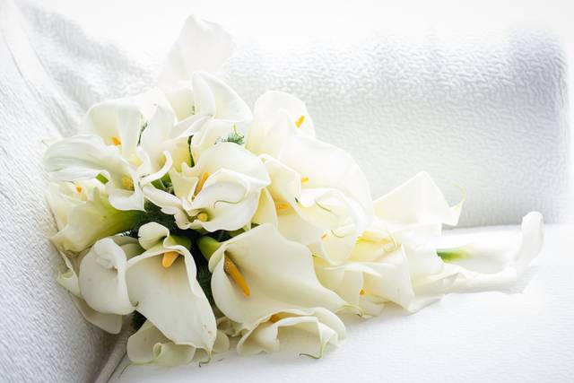 La boda de Jonathan y Alejandra 2