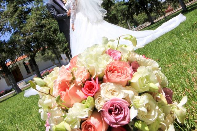 La boda de María Fernanda y Jaime Alejandro 2