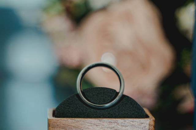 La boda de Adalid y Carlos 1