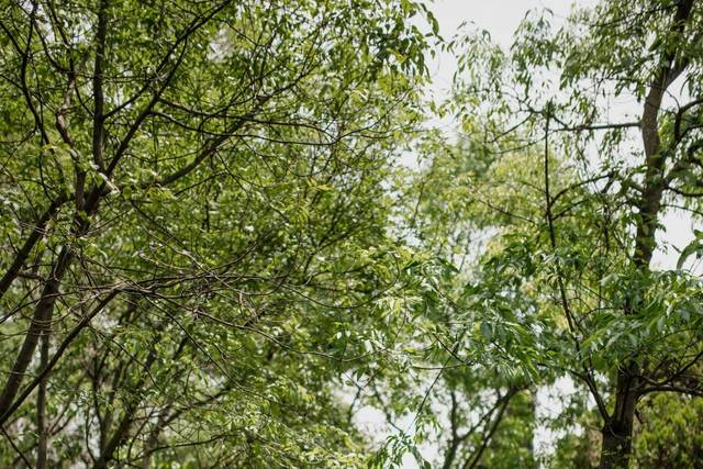 La boda de Elizandra y Hytham 2