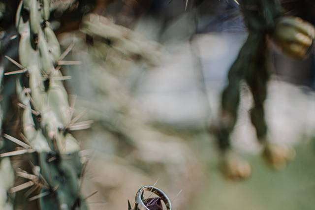La boda de Alena y Jesús 1