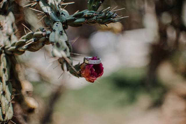 La boda de Alena y Jesús 2