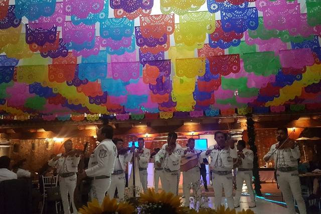 Artemex Papel Picado 4